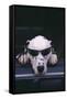 Dalmatian Wearing Sunglasses-DLILLC-Framed Stretched Canvas