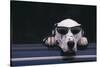 Dalmatian Wearing Sunglasses-DLILLC-Stretched Canvas