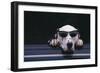 Dalmatian Wearing Sunglasses-DLILLC-Framed Photographic Print