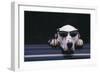 Dalmatian Wearing Sunglasses-DLILLC-Framed Photographic Print