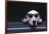 Dalmatian Wearing Sunglasses-DLILLC-Framed Photographic Print