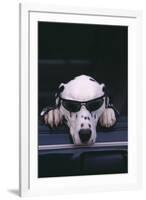 Dalmatian Wearing Sunglasses-DLILLC-Framed Photographic Print