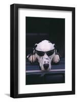 Dalmatian Wearing Sunglasses-DLILLC-Framed Photographic Print