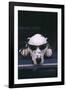 Dalmatian Wearing Sunglasses-DLILLC-Framed Photographic Print