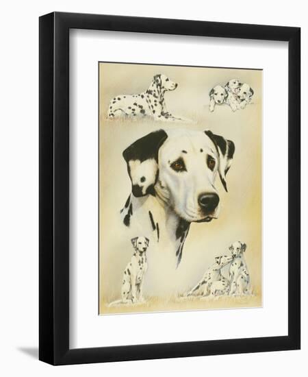 Dalmatian-Libero Patrignani-Framed Art Print