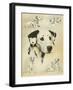 Dalmatian-Libero Patrignani-Framed Art Print