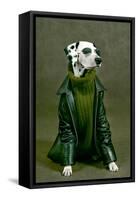 Dalmatian-ingret-Framed Stretched Canvas