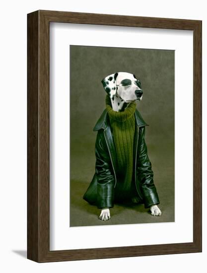 Dalmatian-ingret-Framed Photographic Print