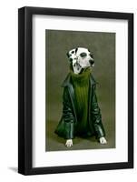 Dalmatian-ingret-Framed Photographic Print