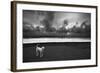 Dalmatian-null-Framed Photographic Print