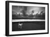 Dalmatian-null-Framed Photographic Print