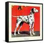 "Dalmatians," July 17, 1943-Rutherford Boyd-Framed Stretched Canvas