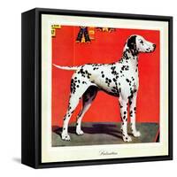 "Dalmatians," July 17, 1943-Rutherford Boyd-Framed Stretched Canvas