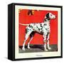 "Dalmatians," July 17, 1943-Rutherford Boyd-Framed Stretched Canvas