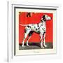 "Dalmatians," July 17, 1943-Rutherford Boyd-Framed Giclee Print