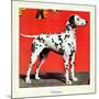 "Dalmatians," July 17, 1943-Rutherford Boyd-Mounted Giclee Print