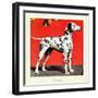 "Dalmatians," July 17, 1943-Rutherford Boyd-Framed Giclee Print