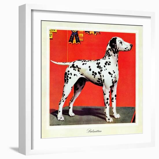 "Dalmatians," July 17, 1943-Rutherford Boyd-Framed Giclee Print