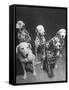 Dalmatians Nedo, Sussex, Smokie, Checkers, and Bingo Bango Belonging to Boston Fire Department-Alfred Eisenstaedt-Framed Stretched Canvas