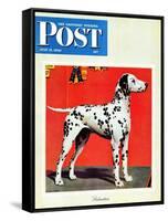 "Dalmatians," Saturday Evening Post Cover, July 17, 1943-Rutherford Boyd-Framed Stretched Canvas