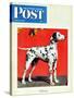"Dalmatians," Saturday Evening Post Cover, July 17, 1943-Rutherford Boyd-Stretched Canvas
