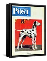 "Dalmatians," Saturday Evening Post Cover, July 17, 1943-Rutherford Boyd-Framed Stretched Canvas