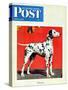 "Dalmatians," Saturday Evening Post Cover, July 17, 1943-Rutherford Boyd-Stretched Canvas