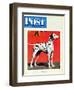 "Dalmatians," Saturday Evening Post Cover, July 17, 1943-Rutherford Boyd-Framed Premium Giclee Print