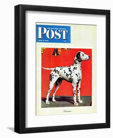 "Dalmatians," Saturday Evening Post Cover, July 17, 1943-Rutherford Boyd-Framed Premium Giclee Print