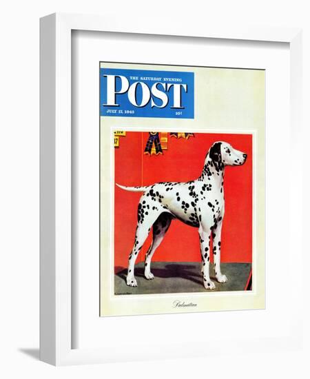 "Dalmatians," Saturday Evening Post Cover, July 17, 1943-Rutherford Boyd-Framed Premium Giclee Print
