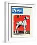 "Dalmatians," Saturday Evening Post Cover, July 17, 1943-Rutherford Boyd-Framed Premium Giclee Print