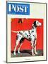 "Dalmatians," Saturday Evening Post Cover, July 17, 1943-Rutherford Boyd-Mounted Premium Giclee Print