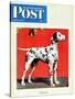 "Dalmatians," Saturday Evening Post Cover, July 17, 1943-Rutherford Boyd-Stretched Canvas