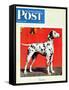 "Dalmatians," Saturday Evening Post Cover, July 17, 1943-Rutherford Boyd-Framed Stretched Canvas