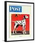 "Dalmatians," Saturday Evening Post Cover, July 17, 1943-Rutherford Boyd-Framed Giclee Print