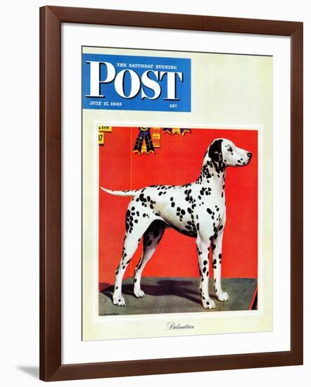 "Dalmatians," Saturday Evening Post Cover, July 17, 1943-Rutherford Boyd-Framed Giclee Print