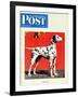 "Dalmatians," Saturday Evening Post Cover, July 17, 1943-Rutherford Boyd-Framed Giclee Print