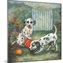 Dalmatians-Judy Mastrangelo-Mounted Giclee Print