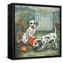 Dalmatians-Judy Mastrangelo-Framed Stretched Canvas