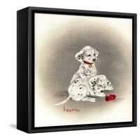 Dalmation 2 - Curiosity-Peggy Harris-Framed Stretched Canvas