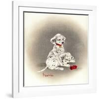 Dalmation 2 - Curiosity-Peggy Harris-Framed Giclee Print