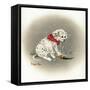 Dalmation 3- Sprinkles-Peggy Harris-Framed Stretched Canvas