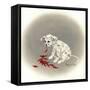 Dalmation 5 - Chile Dog-Peggy Harris-Framed Stretched Canvas