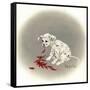 Dalmation 5 - Chile Dog-Peggy Harris-Framed Stretched Canvas