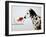 Dalmation Dog Looking at Dalmation Fish-Michel Tcherevkoff-Framed Art Print