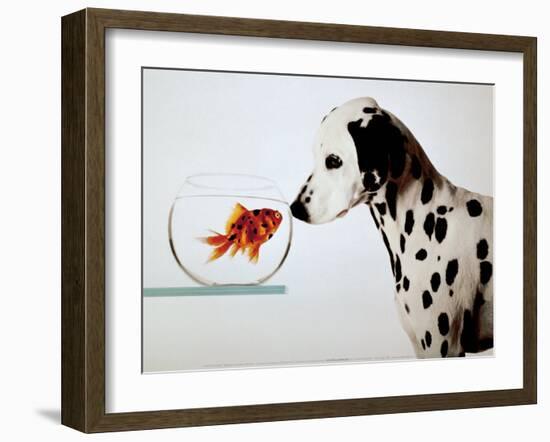 Dalmation Dog Looking at Dalmation Fish-Michel Tcherevkoff-Framed Art Print