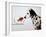 Dalmation Dog Looking at Dalmation Fish-Michel Tcherevkoff-Framed Art Print