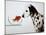 Dalmation Dog Looking at Dalmation Fish-Michel Tcherevkoff-Mounted Art Print