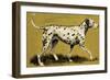 Dalmation Dog-English School-Framed Giclee Print