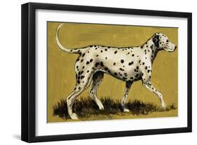 Dalmation Dog-English School-Framed Giclee Print